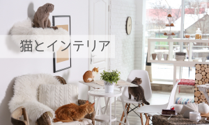 猫とインテリア