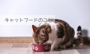 キャットフードのこと