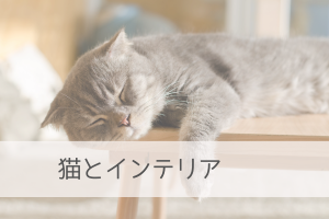 猫とインテリア