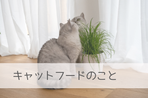 キャットフードのこと