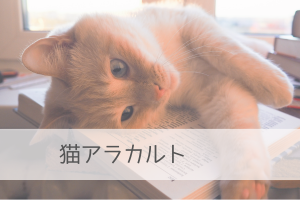 猫アラカルト