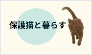 保護猫と暮らす