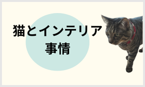 猫とインテリア事情