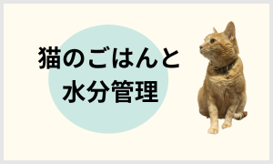 猫のごはんと水分管理