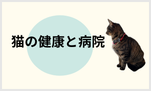 猫の健康と病院