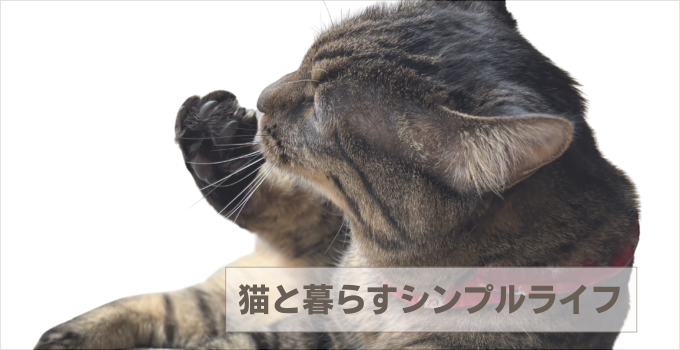 猫とシンプルライフ｜快適でおしゃれな暮らしの工夫