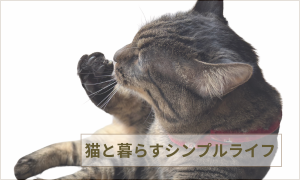 猫と暮らすシンプルライフ