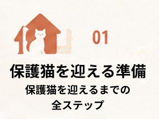 保護猫を迎える準備