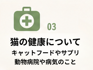 猫の健康について