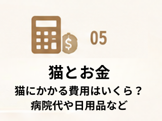 猫とお金