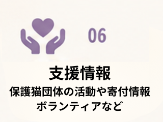 保護猫の譲渡・支援情報