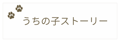 うちの子ストーリー