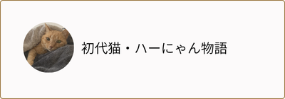 ハーにゃんとの出会い
