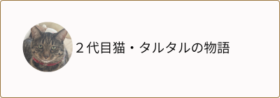 タルタルとの暮らし
