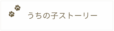 うちの子ストーリー